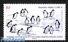 Penguin, Manchot Adélie 1v
