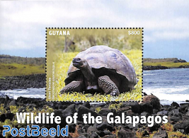 Wildlife of the Galapagos s/s