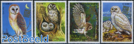 Owls with Belgica logo 4v
