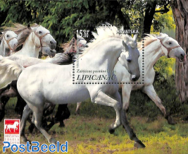 Lipizaner horses s/s