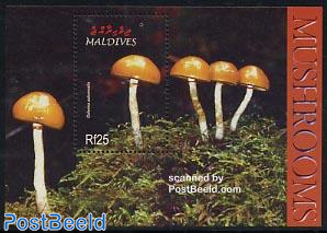 Mushrooms s/s, Galerina autumnalis