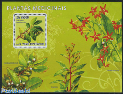 Medicinal plants s/s