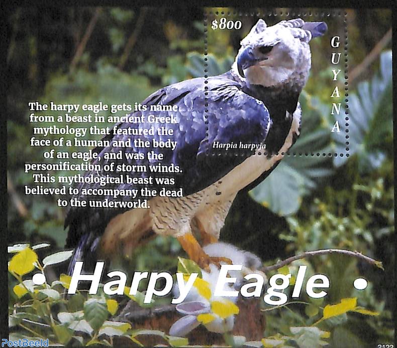 36 Harpy Eagle Facts: World's Most Powerful Eagle (Harpia harpyja